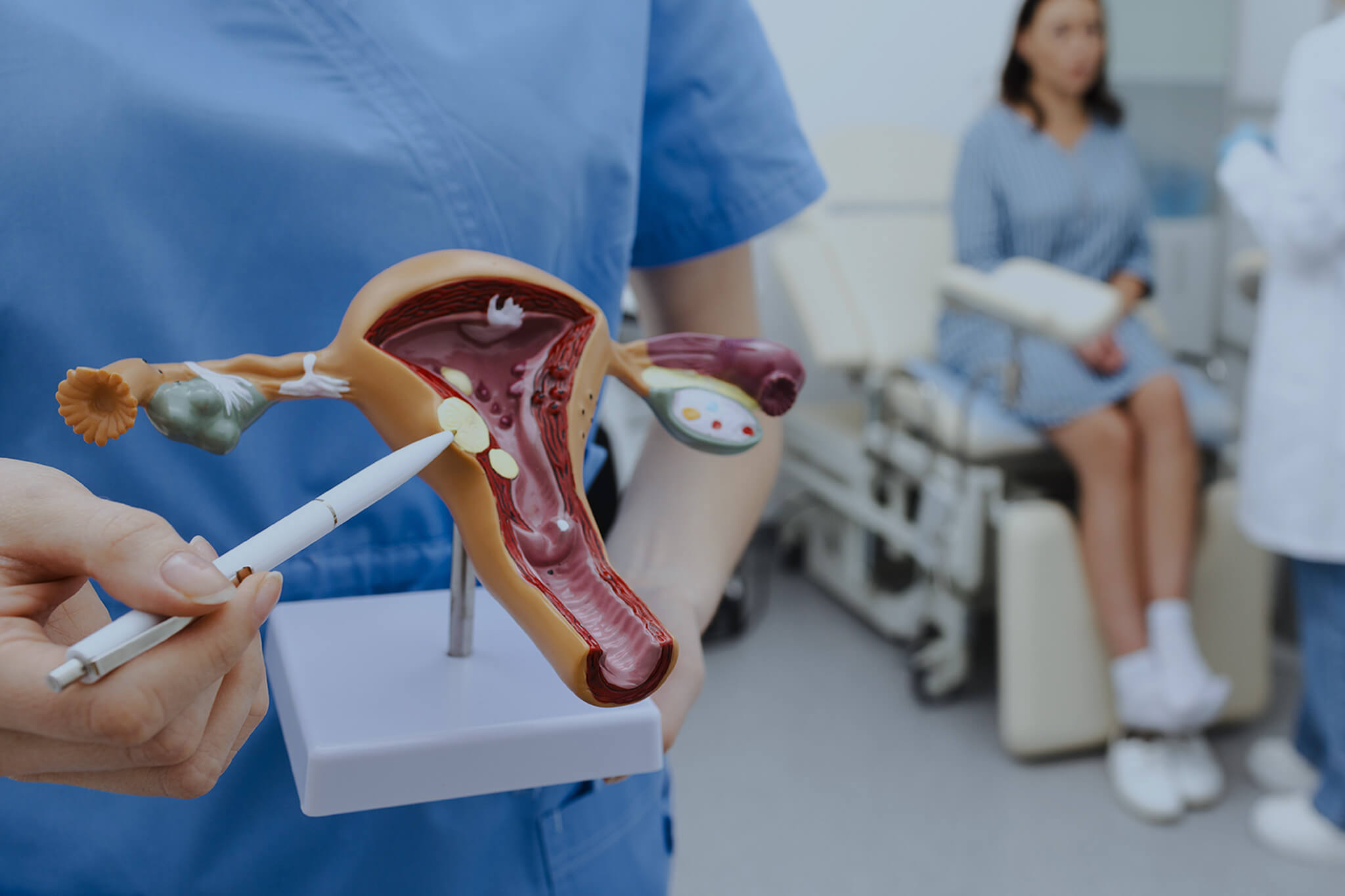 Gynecologist pointing on anatomical model of uterus.